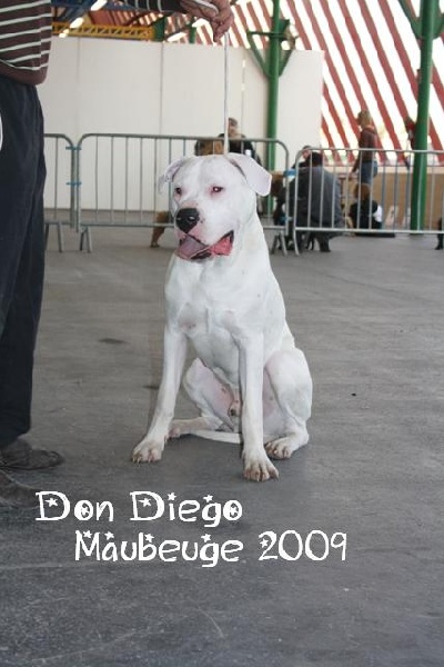 Don Diego des divines folies bergere
